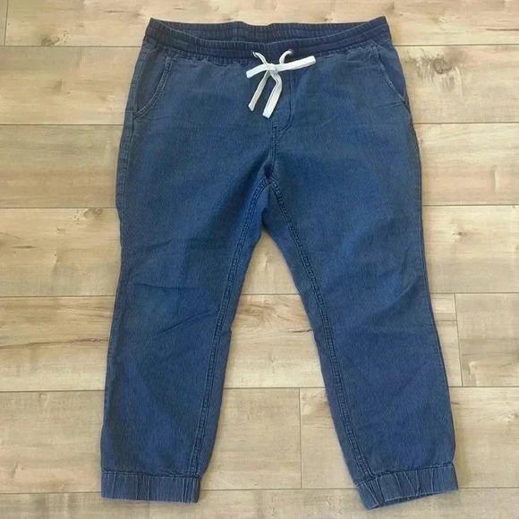 J.Crew Sideline pant in indigo-stripe chambray Sz 12 - Picture 3 of 8